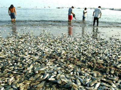 深圳水質檢測機構