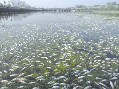 深圳水質檢測機構