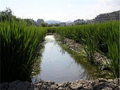 深圳水質檢測機構